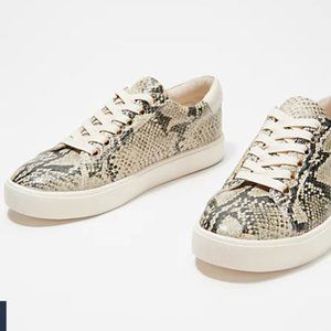 Sam Edelman Snake Print Sneakers